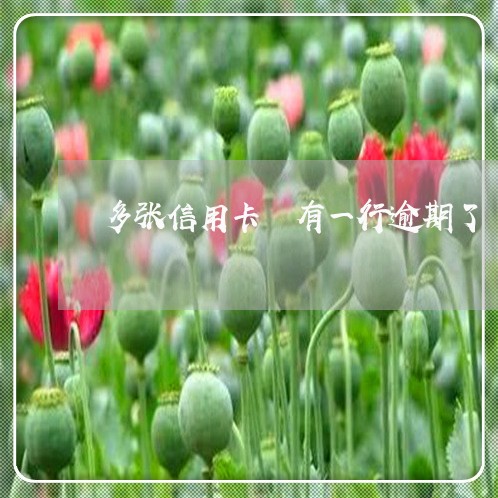 多张信用卡 有一行逾期了 多张信用卡 有一行逾期了